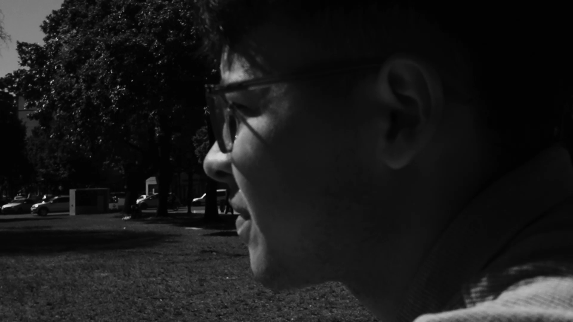 Bella Como Las Fresias