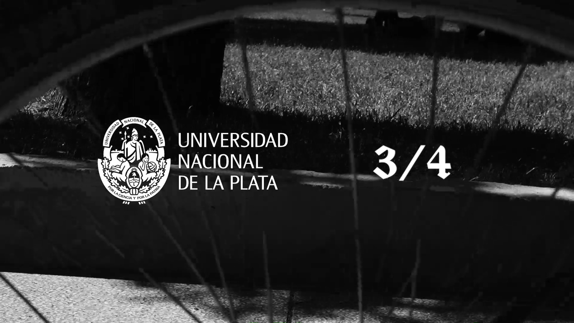 Bella Como Las Fresias