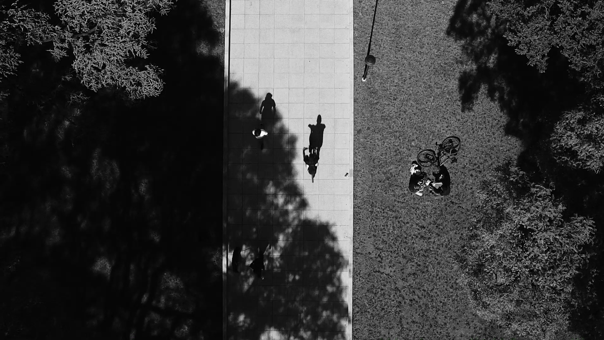 Bella Como Las Fresias